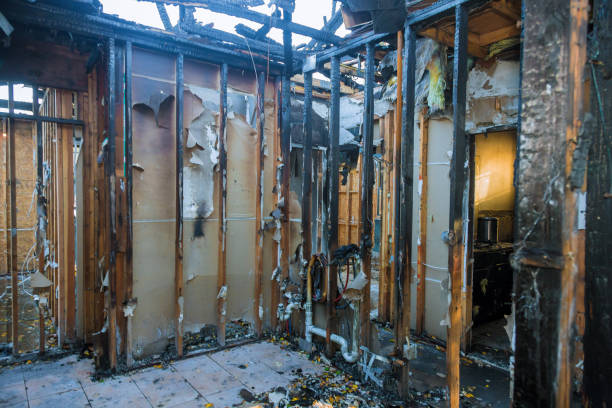 Professional Odor Removal technician working in Trenton, FL