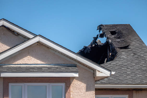 Top rated local Odor Removal specialists in Trenton, FL
